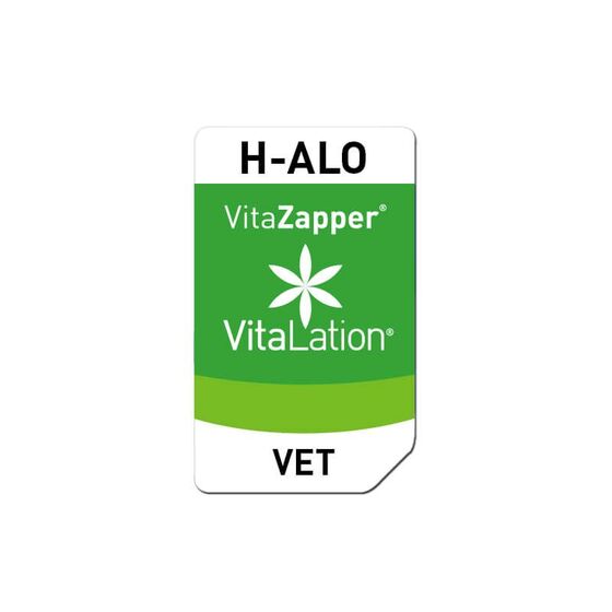 Bioresonanz Hund – H-ALO