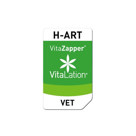 Bioresonanz Hund – H-ART