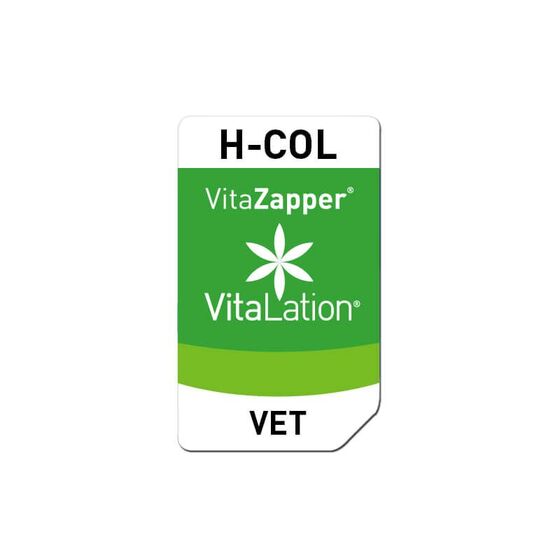 Bioresonanz Hund – H-COL