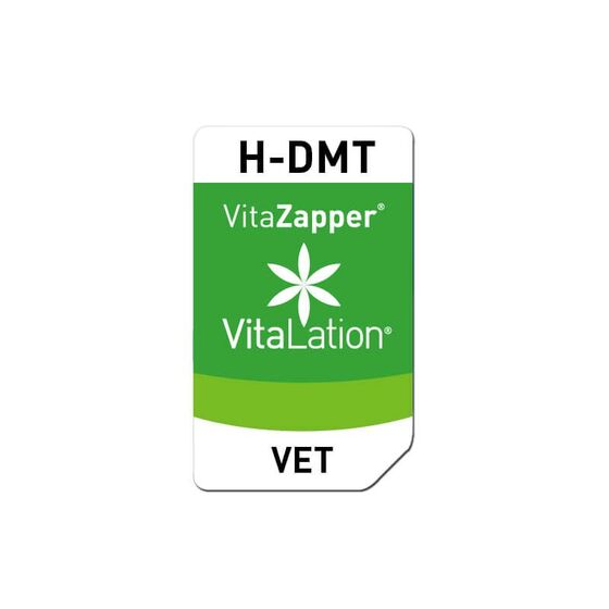 Bioresonanz Hund – H-DMT
