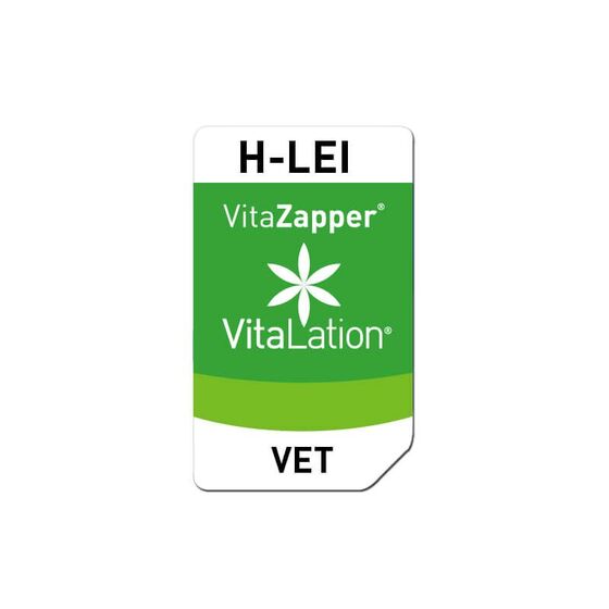 Bioresonanz Hund – H-LEI