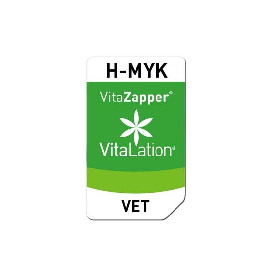 Bioresonanz Hund – H-MYK