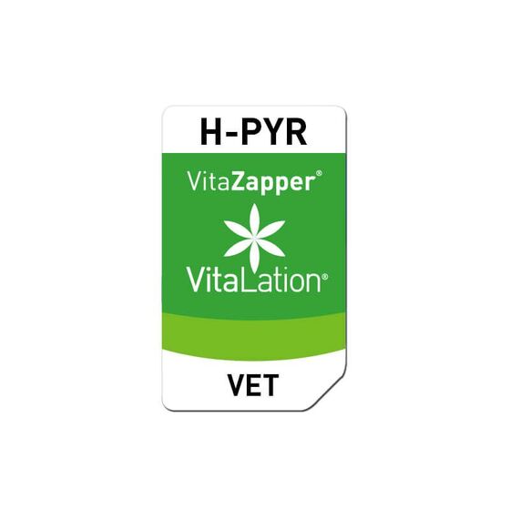 Bioresonanz Hund – H-PYR