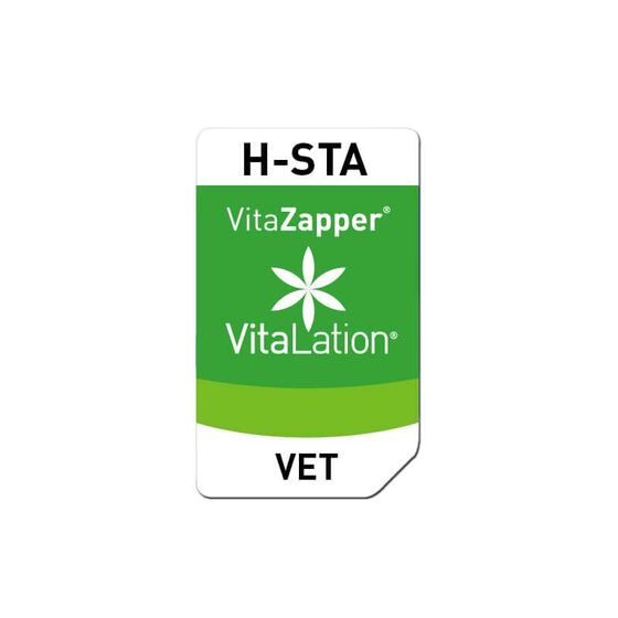 Bioresonanz Hund – H-STA