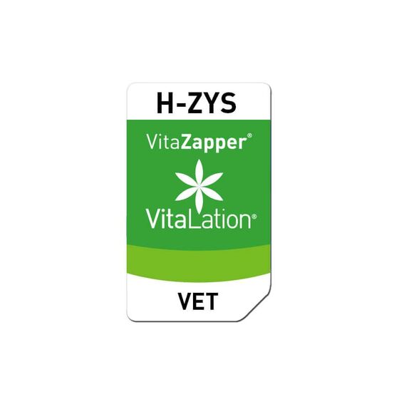 Bioresonanz Hund – H-ZYS