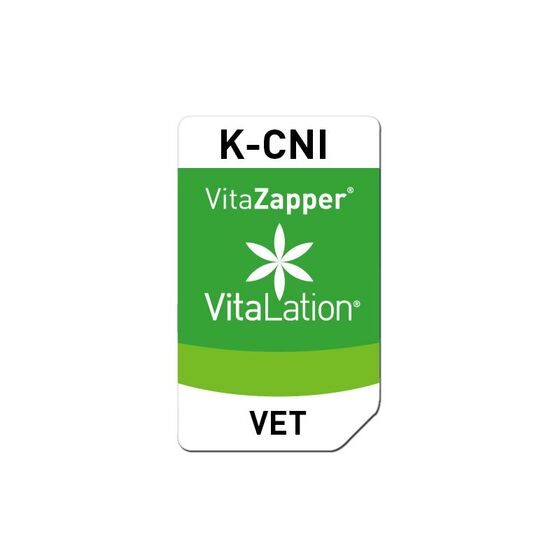 Bioresonanz Katze – K-CNI