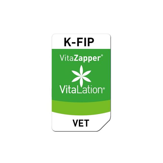 Bioresonanz Katze – K-FIP