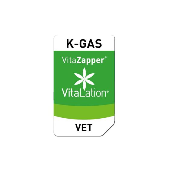 Bioresonanz Katze – K-GAS