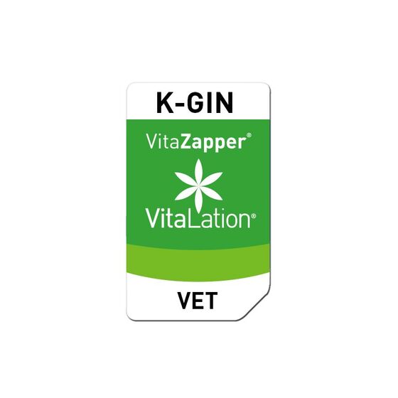 Bioresonanz Katze – K-GIN