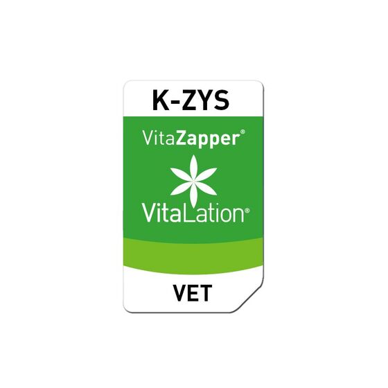 Bioresonanz Katze – K-ZYS