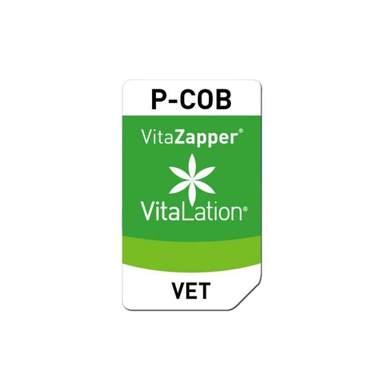 Bioresonanz Pferd – P-COB