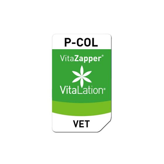 Bioresonanz Pferd – P-COL