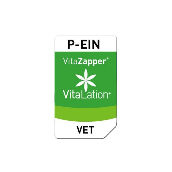 Bioresonanz Pferd – P-EIN