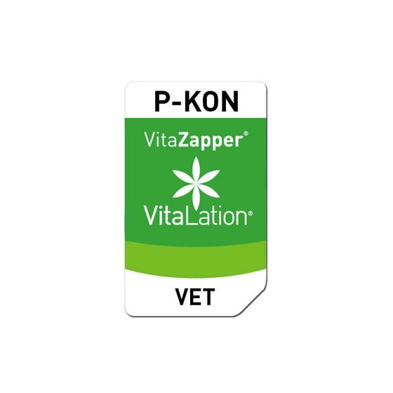 Bioresonanz Pferd – P-KON